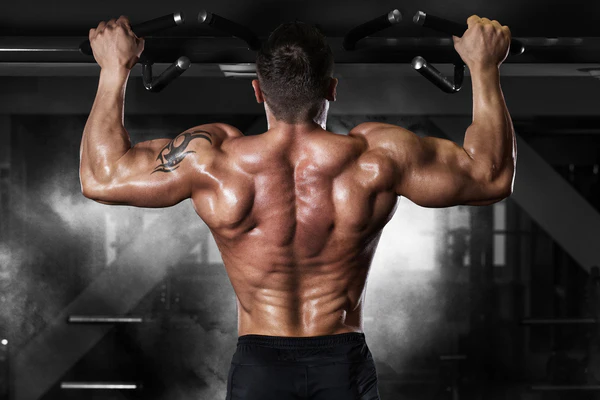 Ultimate Guide to Fitness and Health: Transform Your Body and Mind